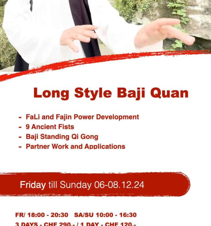 2024_12 Long Style Baji Quan bei WDP Bern 