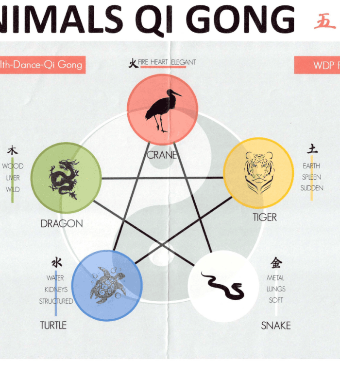 5 Tier QiGong in Berlin – 2019