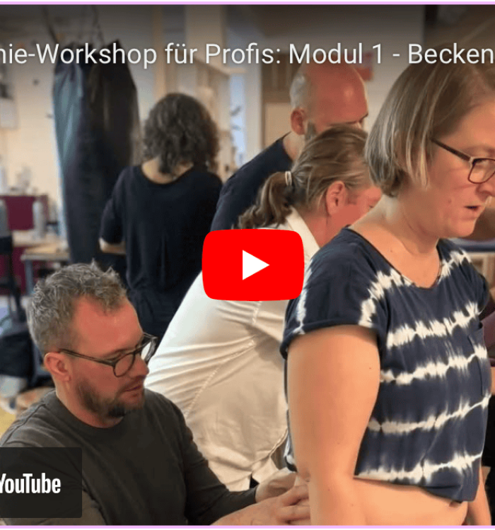 Modul 1 – Beckengelenke 2024 – Impressionen
